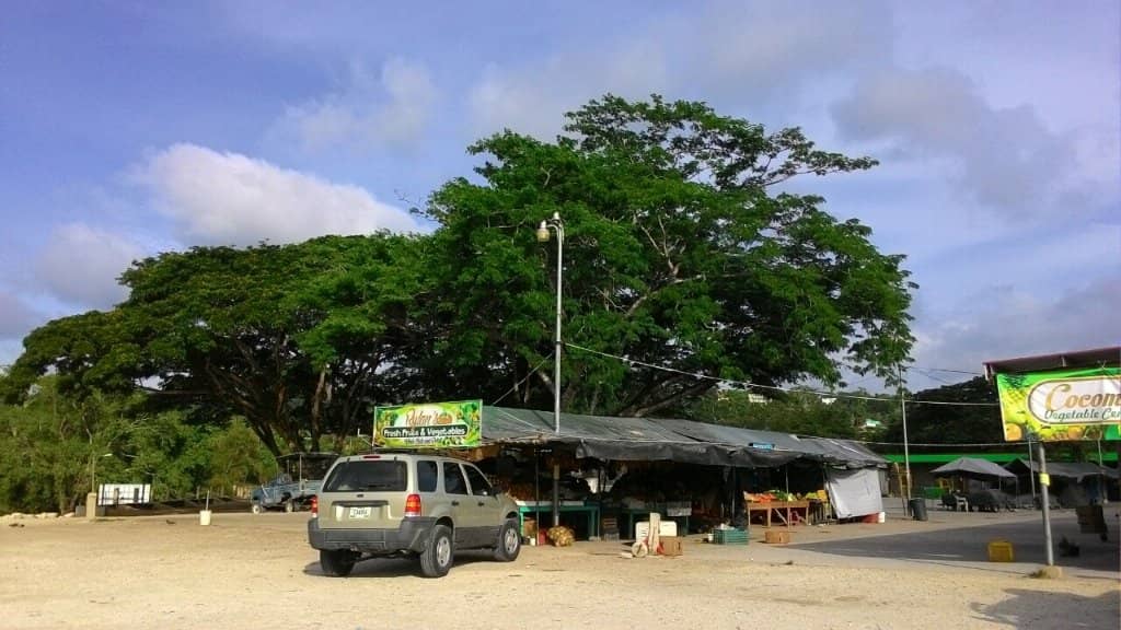 Authentic Belizean Street Food