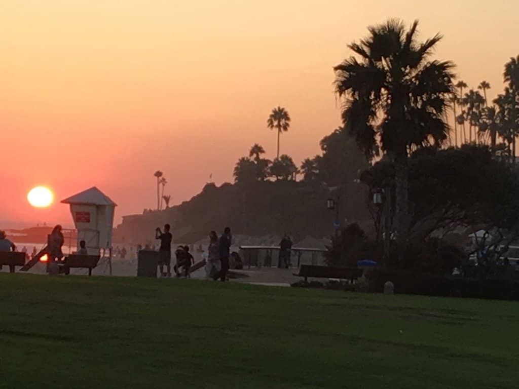 Youth Theatre Performances