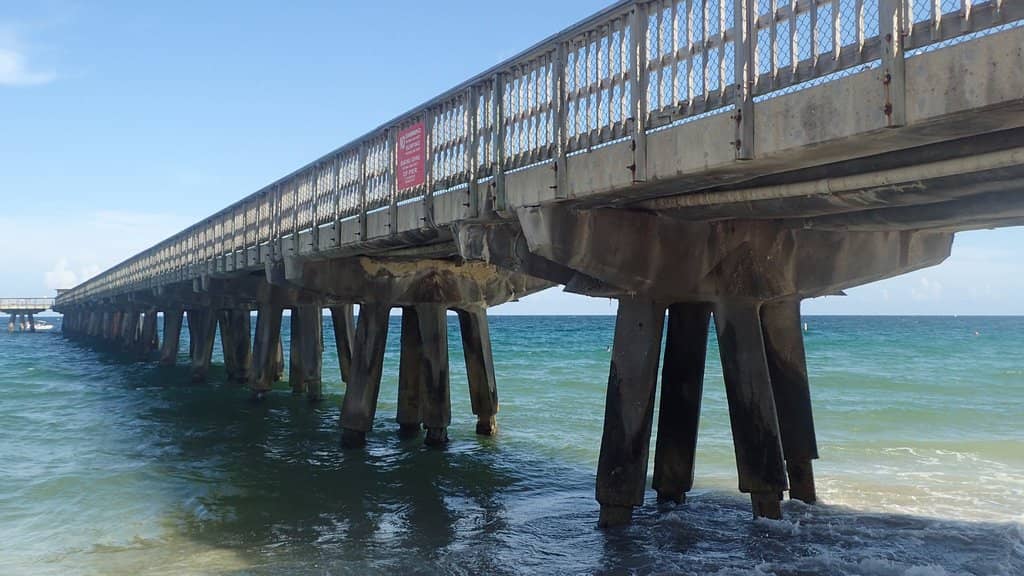 Sunset Strolls and Views