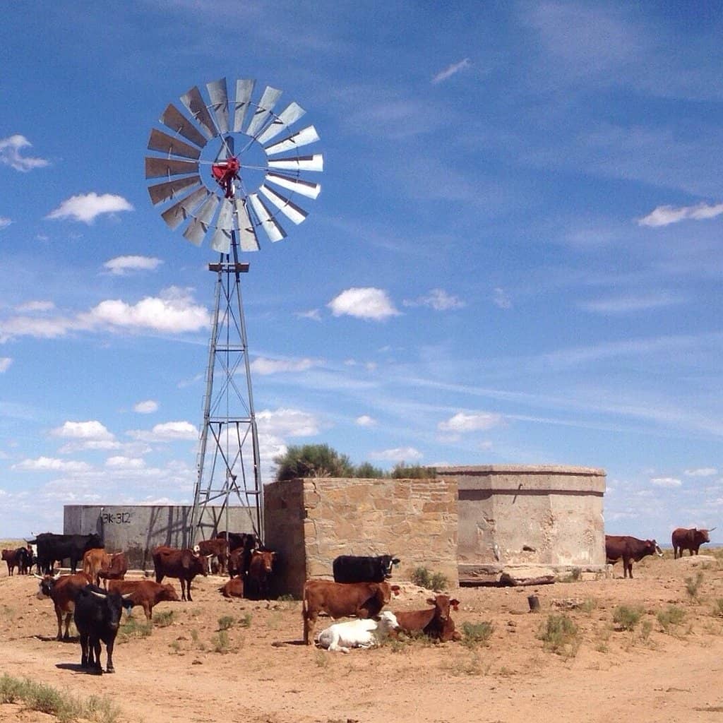 Remnants of Mining Past