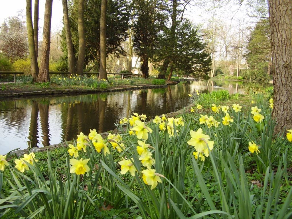 Tranquil Green Spaces