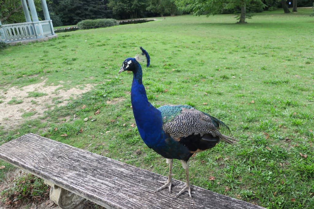 Charming Anglo-Chinese Landscape