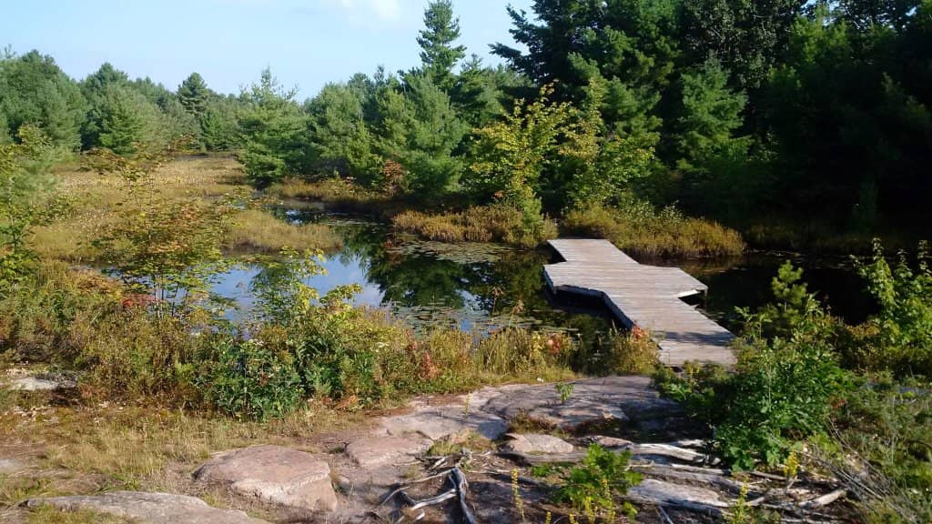 Scenic Hiking Trails
