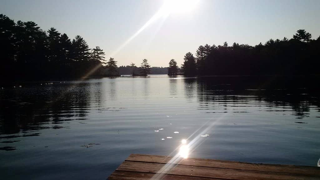 Calm Waters for Paddling