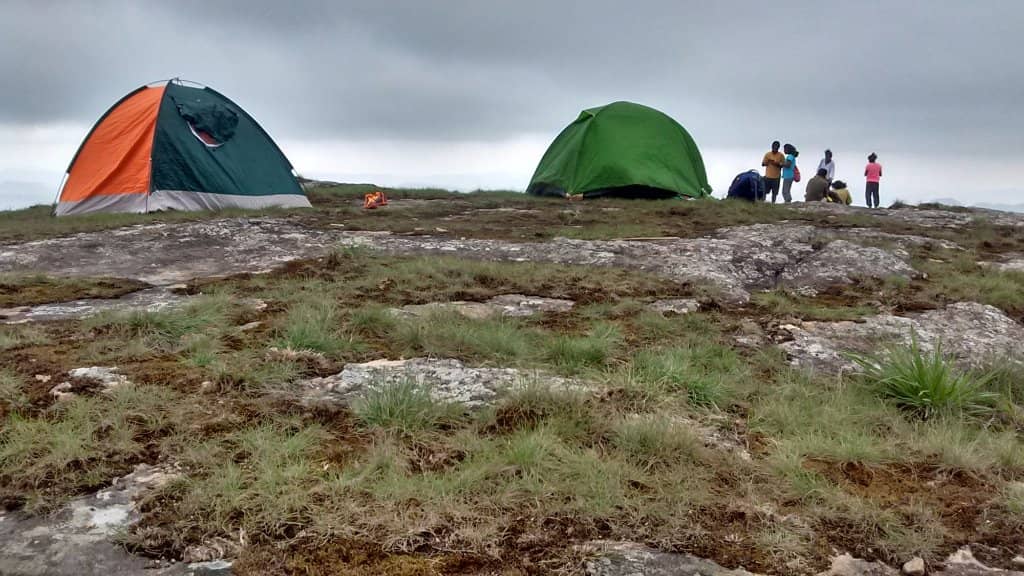 Cardamom Plantations