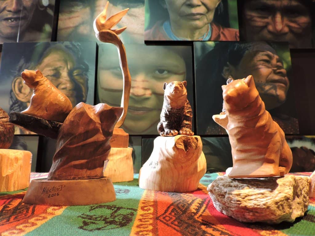 Indigenous Crafts & Arts