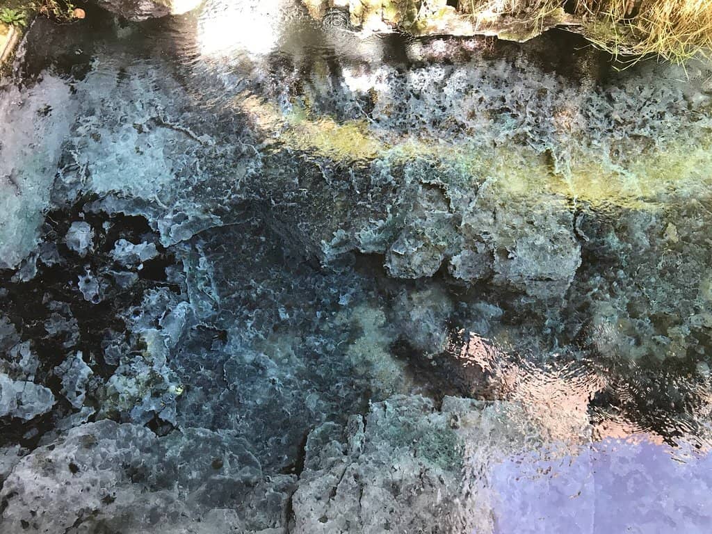 Sulphur-Rich Thermal Pool