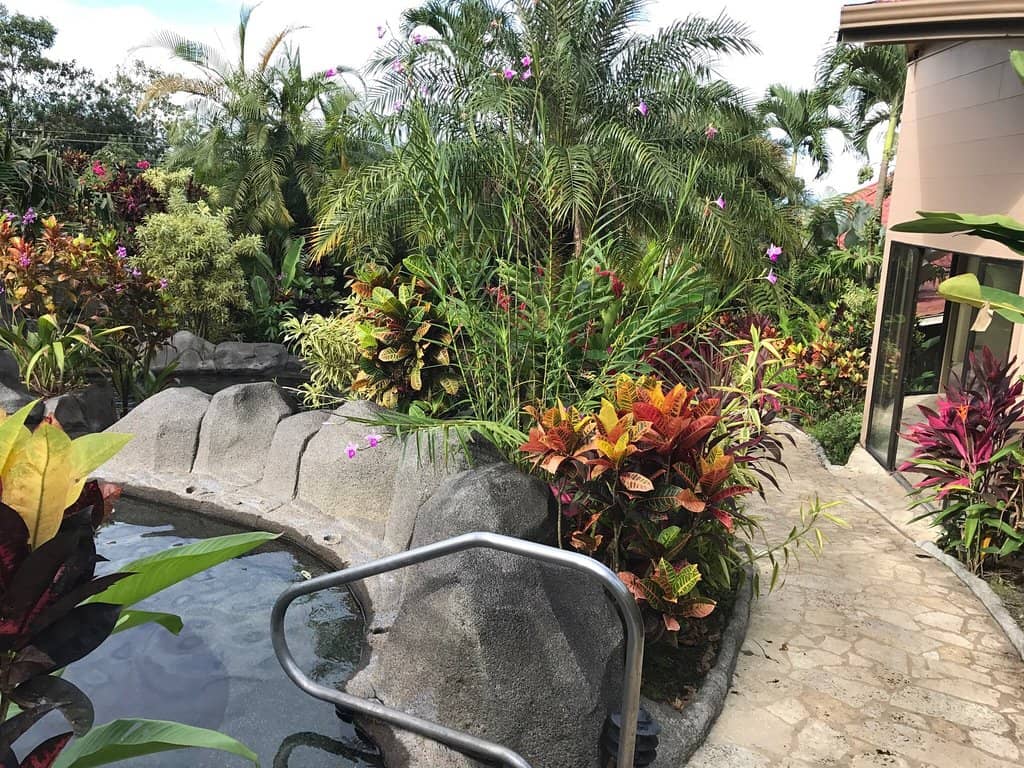 On-Site Bar & Cocktails