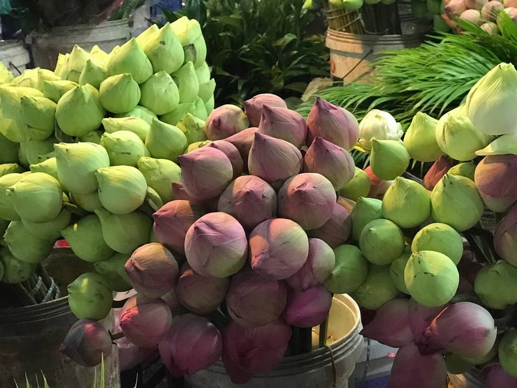 Fresh Seafood Galore