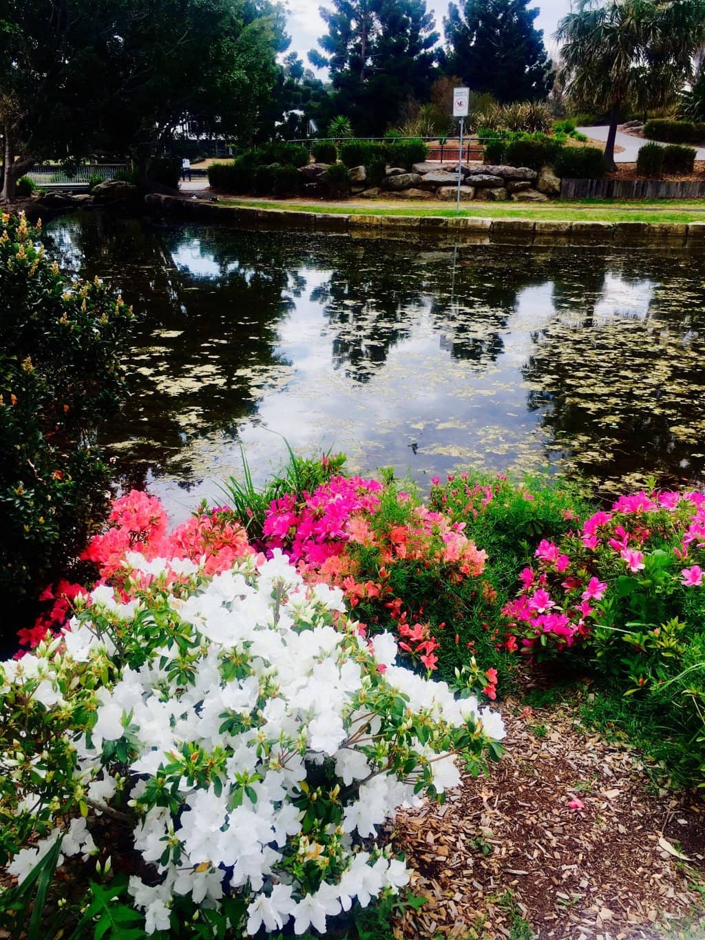 Chang Lai Yuan Chinese Gardens