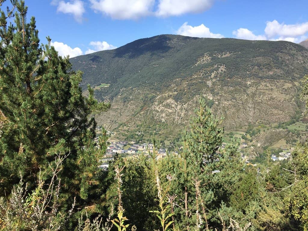 Botanical Garden & Charcoal Burner