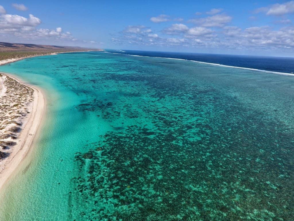 Abundant Marine Life Encounters