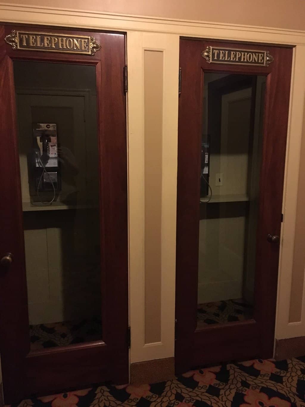 Live Music & Concerts