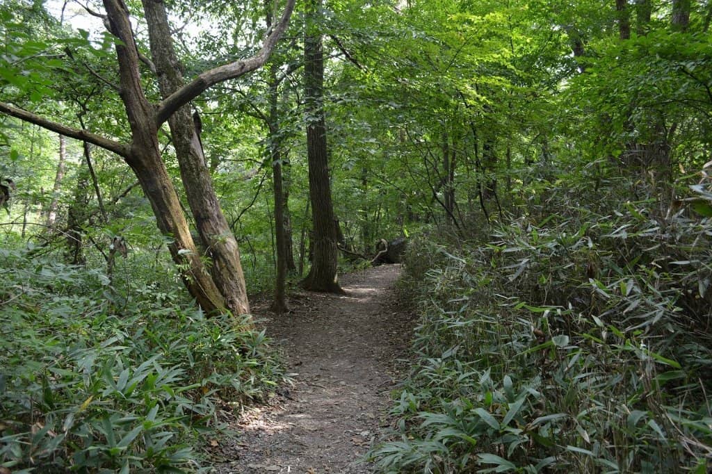 Dragon's Mouth Viewpoint
