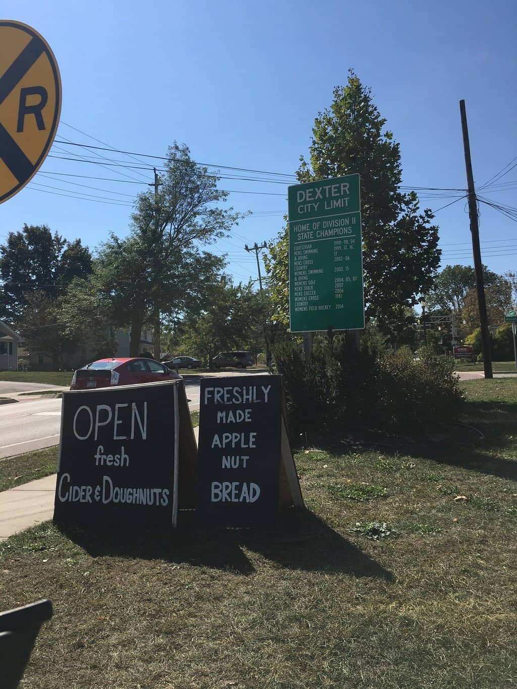 Warm Cinnamon Sugar Donuts