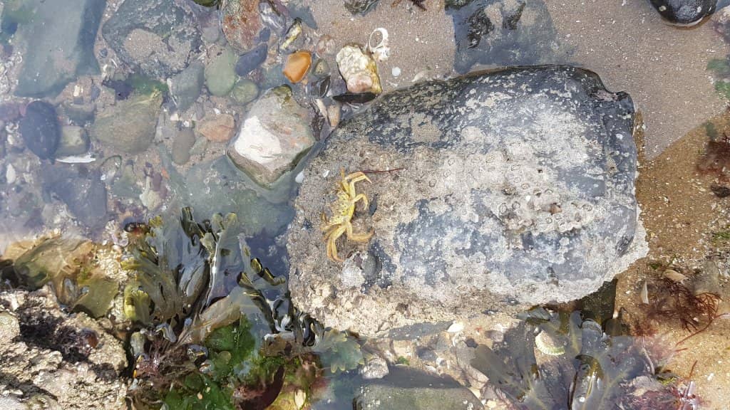 The Beach House Restaurant