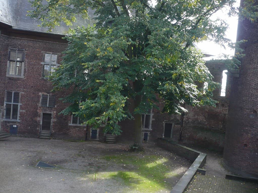 Linn Castle Adjacent