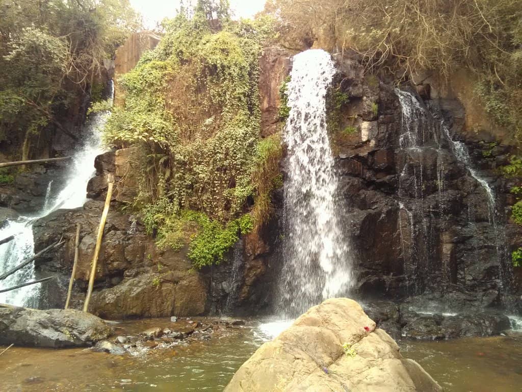 Picnic and Braai Area