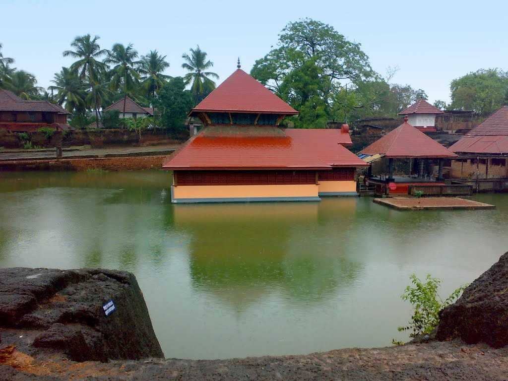 The Guardian Crocodile