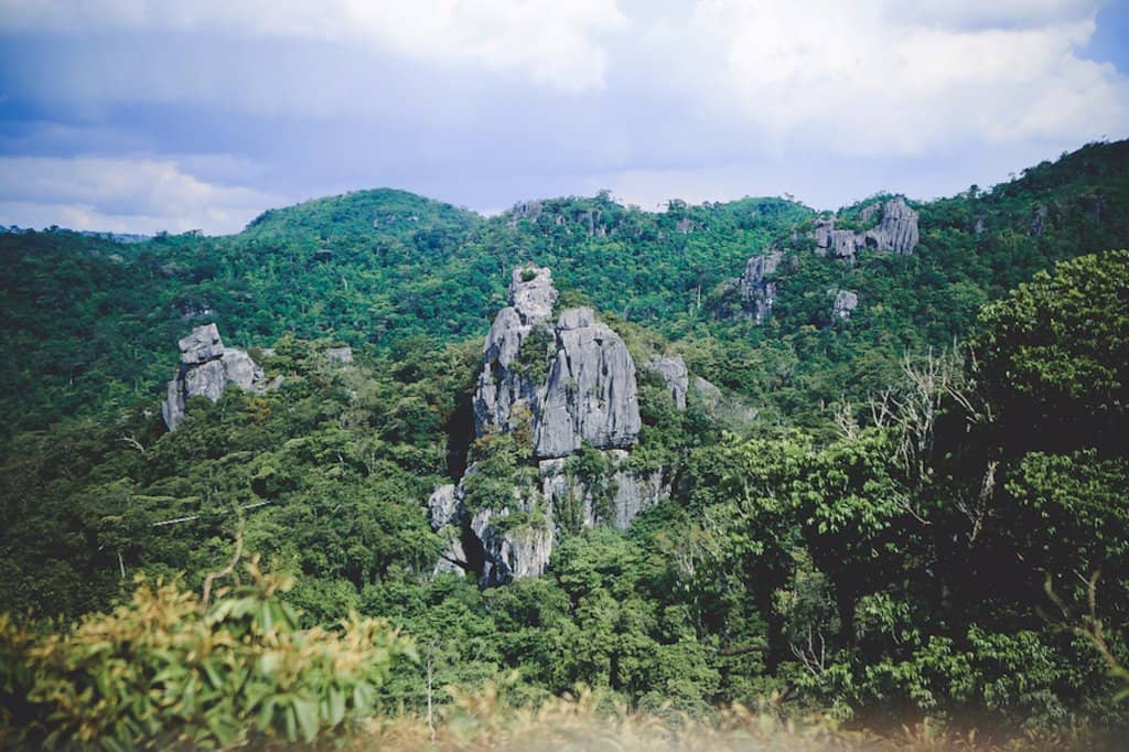 Hanging Bridges & Hammocks