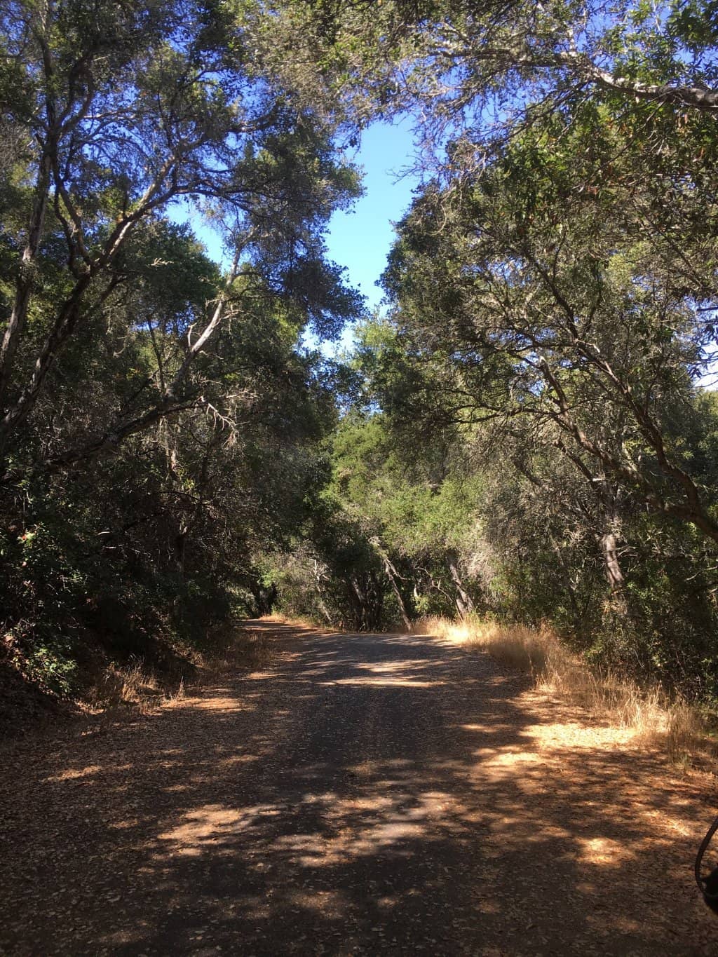 Canyon and Ridge Hiking
