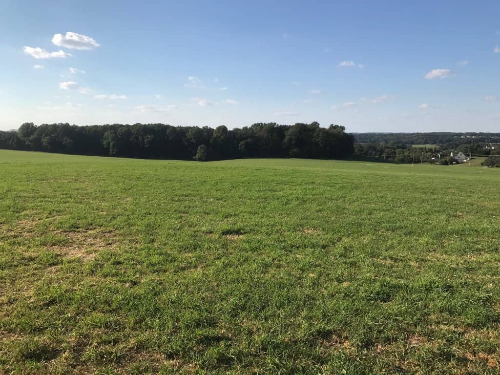 Birdwatching Hotspot