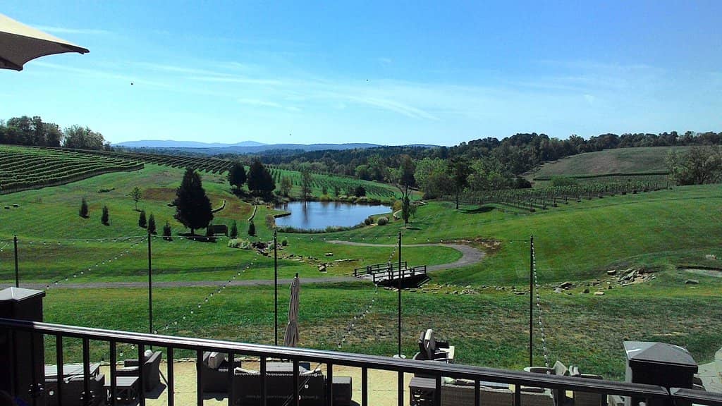 Exceptional Food Pairings