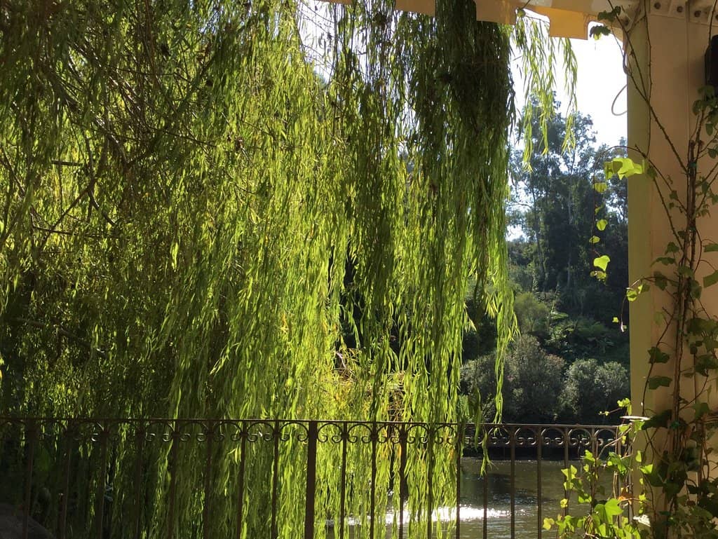 Scenic Walking Trails