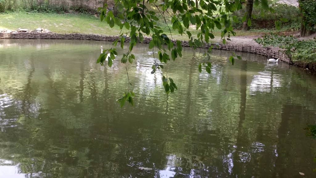 Folk Art and Musical Instruments