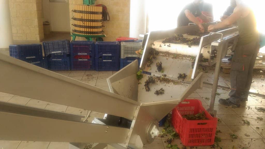 Family-Run Hospitality