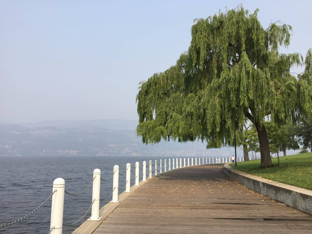 Okanagan Lake Views