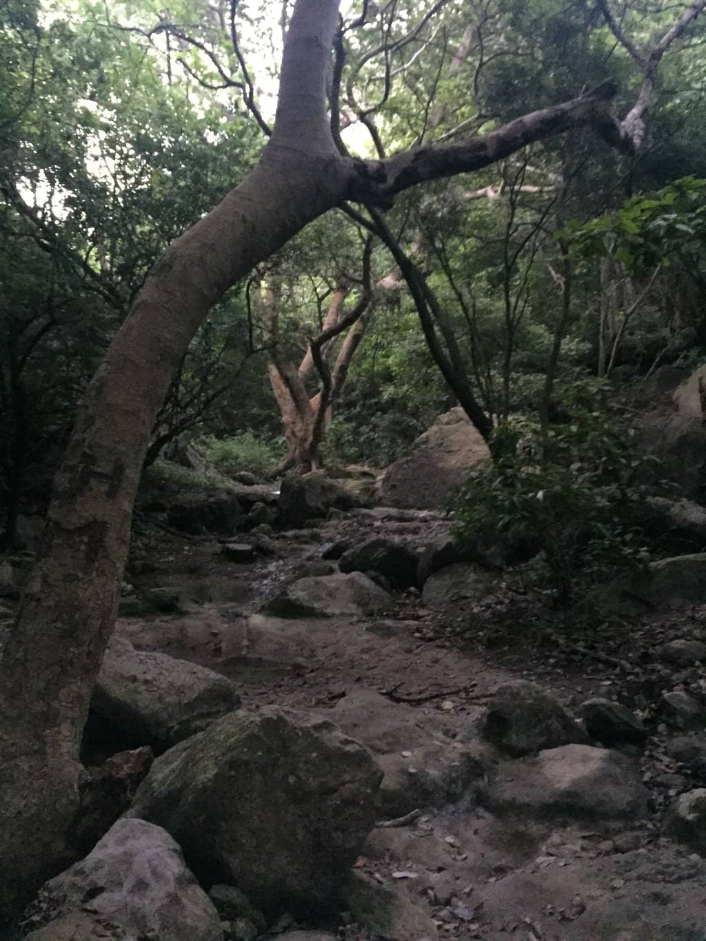 Vertical photo