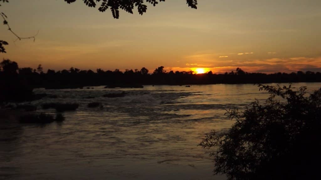 Manikhoth Sacred Tree