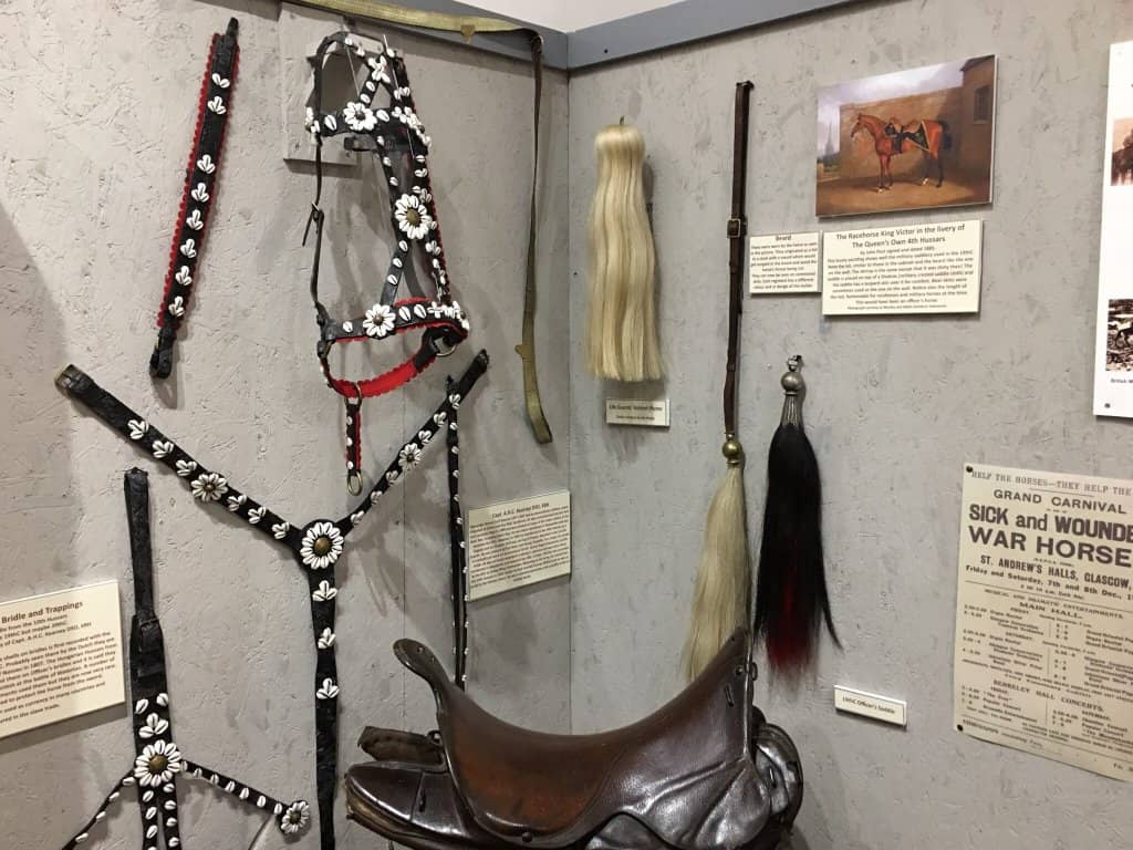 Arabian Horse Exhibit