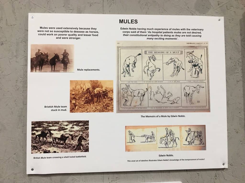 Uma Musume Exhibit