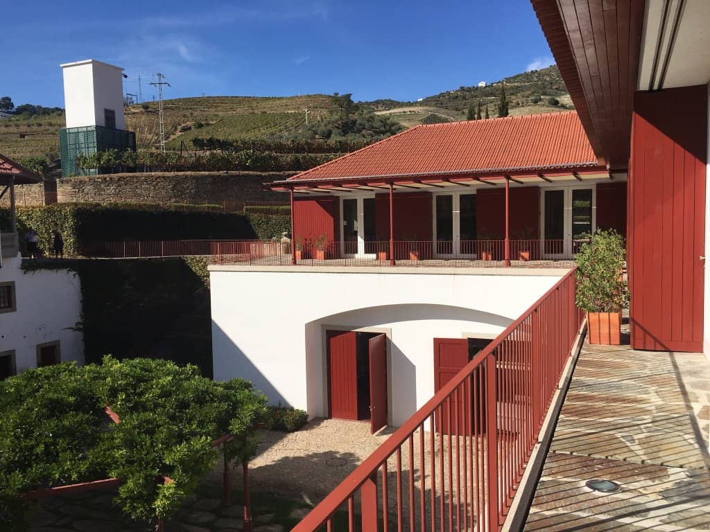 Wine Cellar Exploration