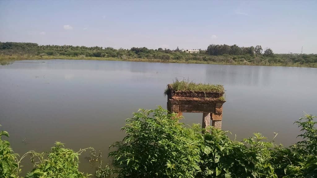 Lingambudhi Botanical Garden