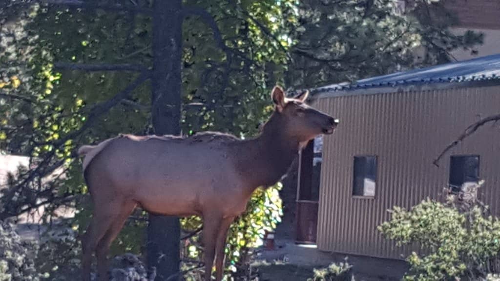 Scenic Hiking Trails
