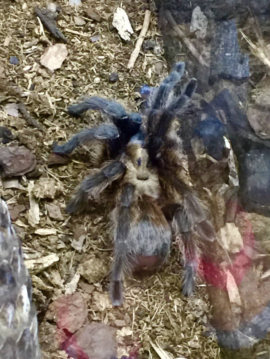 Nature Trails & Picnic Spots