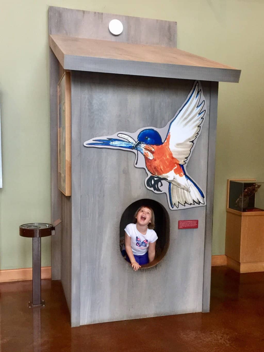 Wildlife Viewing Area