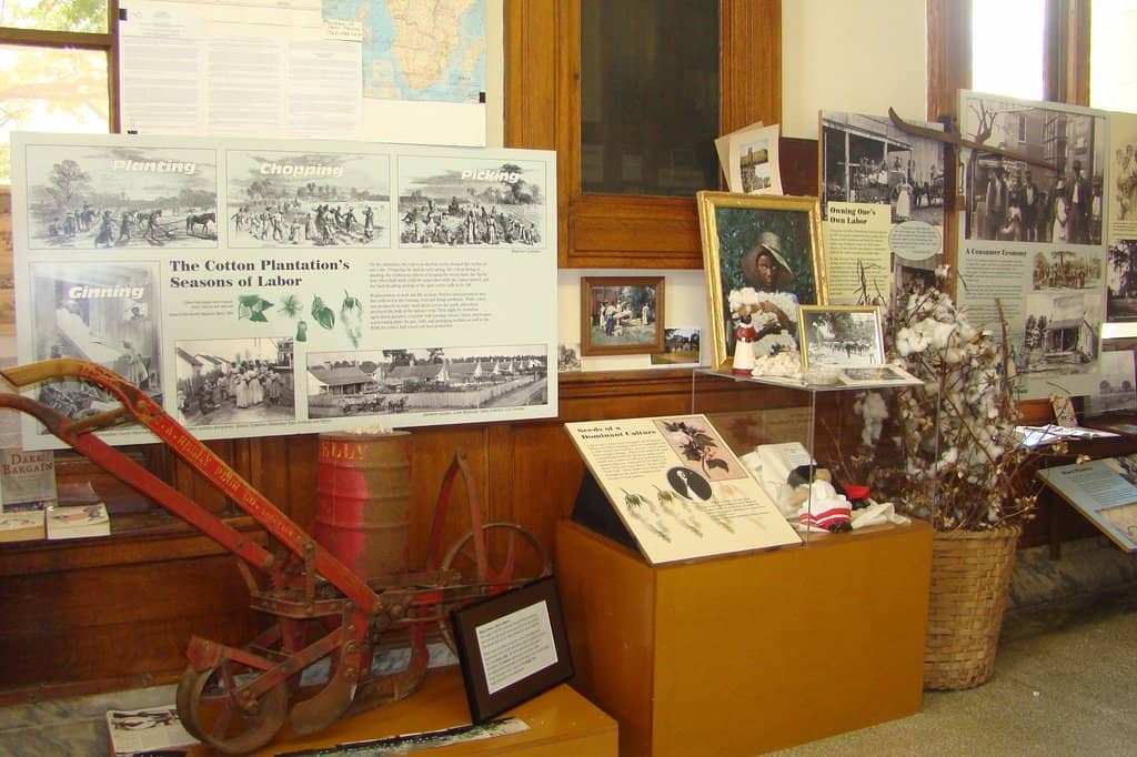 Informative Video Presentation