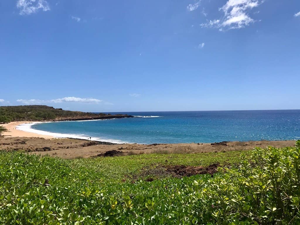Golden Sandy Shoreline