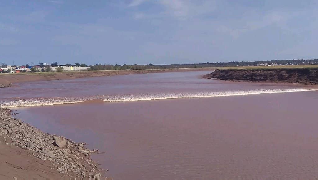 Petitcodiac River Trails