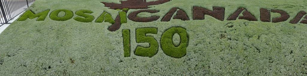 Sentier de l'Éperon Trail