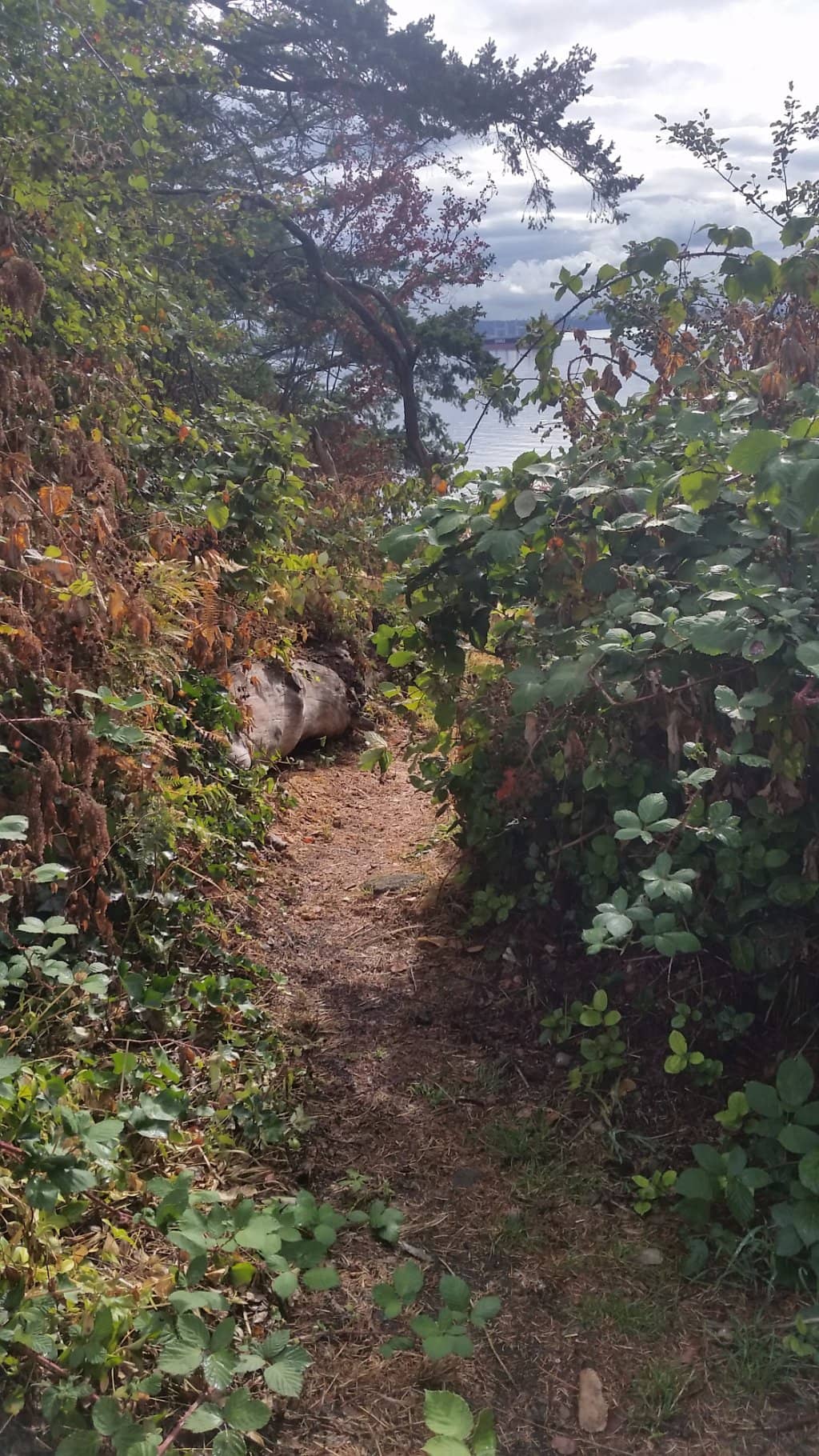 Secluded Sandy Beach