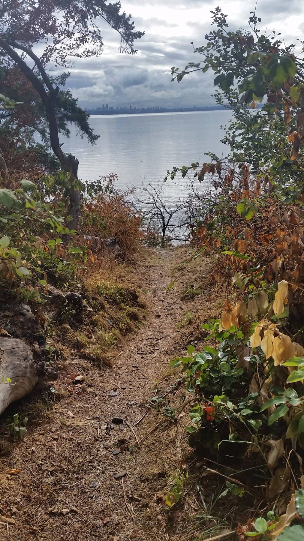 European-Inspired Architecture