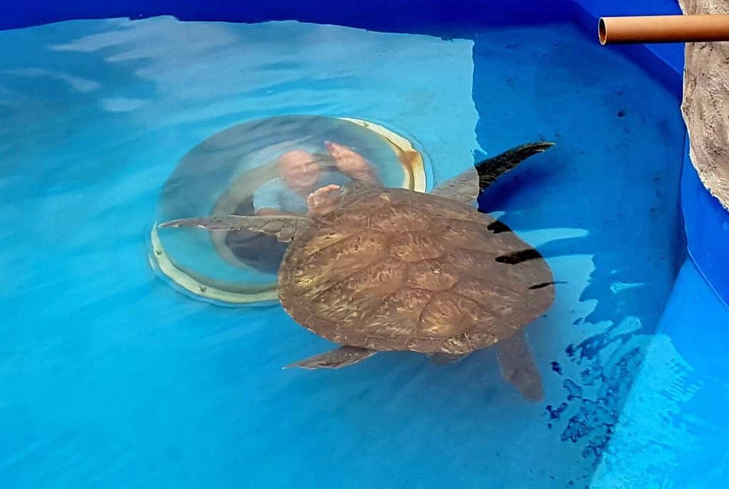 Marine Life Education