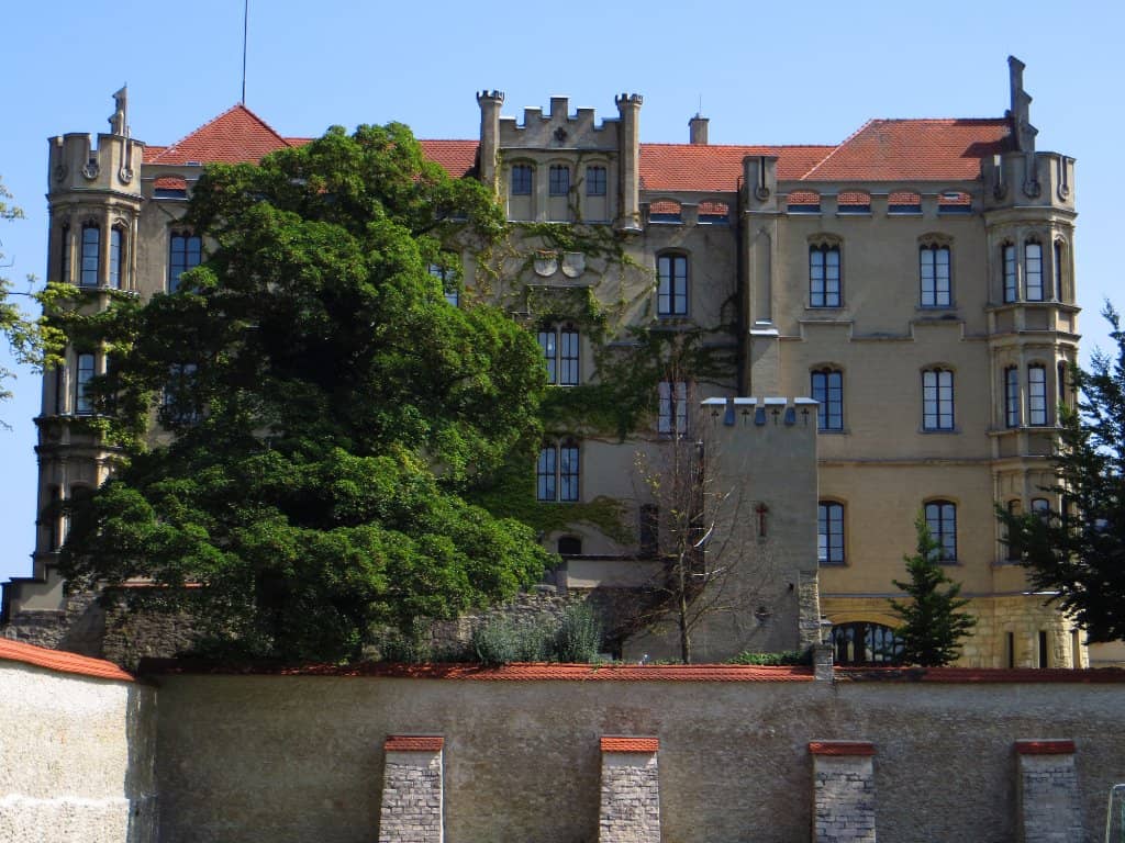 Match Day Atmosphere