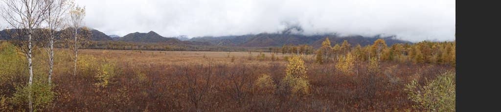 Akanuma Bus Stop Area