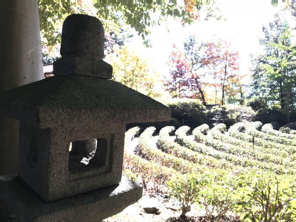 Monte Verità Museum